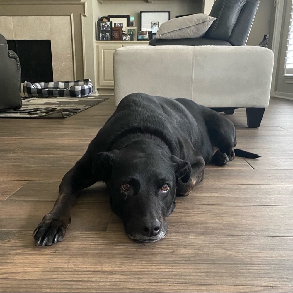 Meet your Posher, Cecelia